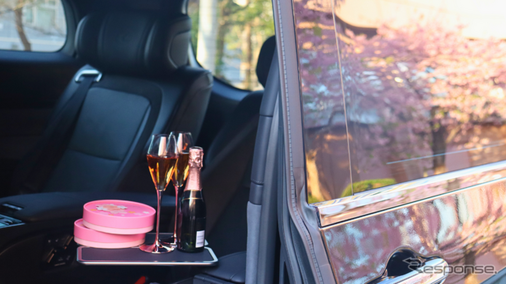 レクサス『LM』を使用した都内桜名所巡りプラン「SAKURA RIDE PLAN」