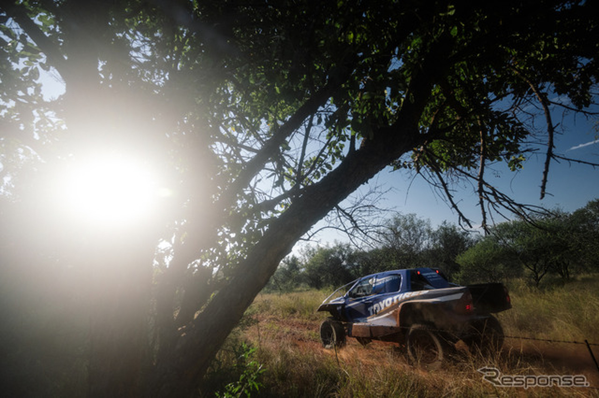 W2RC『SOUTH AFRICAN SAFARI RALLY』