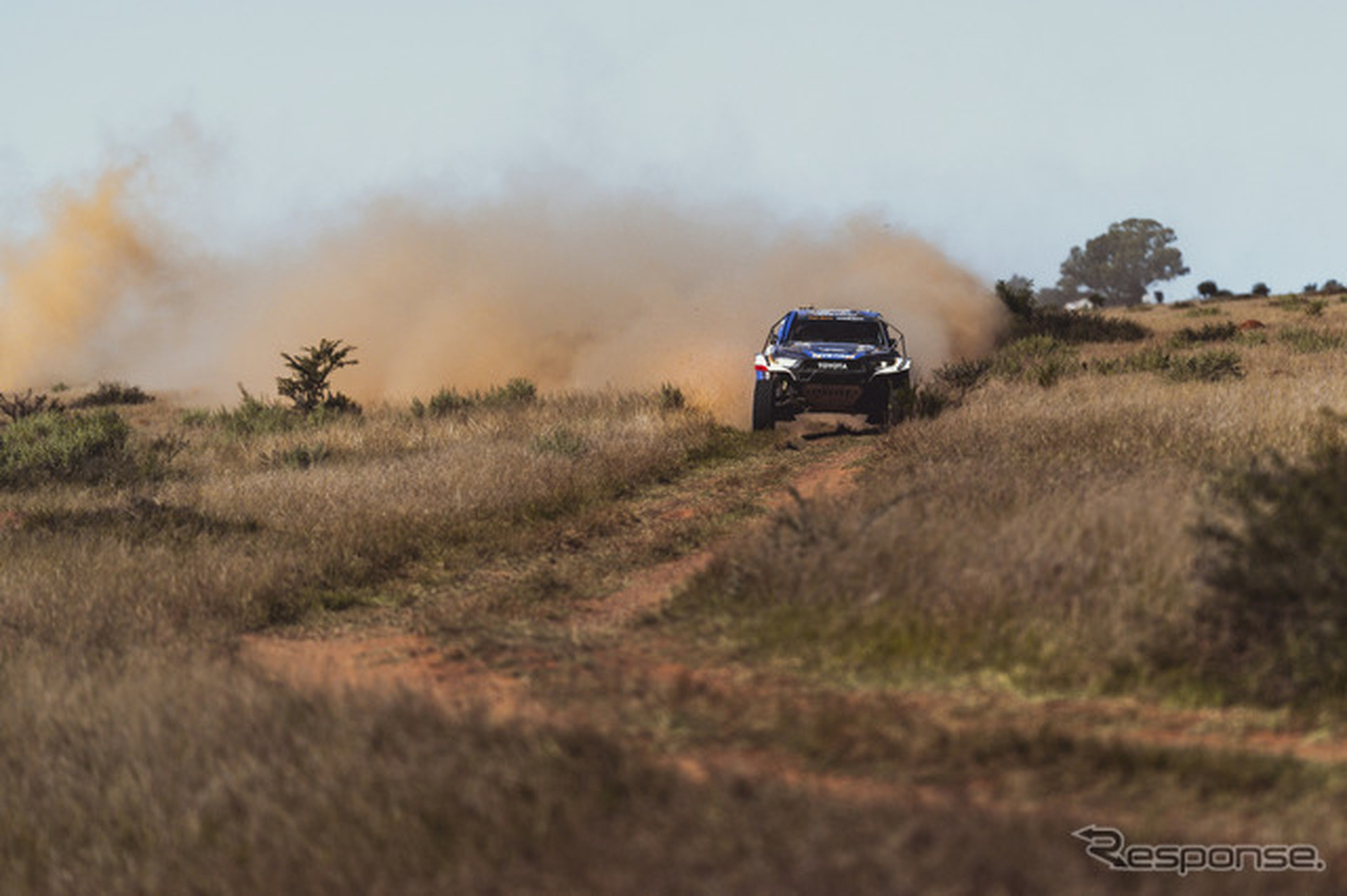 W2RC『SOUTH AFRICAN SAFARI RALLY』