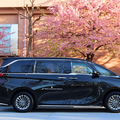 レクサス『LM』を使用した都内桜名所巡りプラン「SAKURA RIDE PLAN」