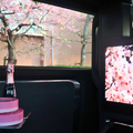 レクサス『LM』を使用した都内桜名所巡りプラン「SAKURA RIDE PLAN」