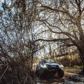 W2RC『SOUTH AFRICAN SAFARI RALLY』